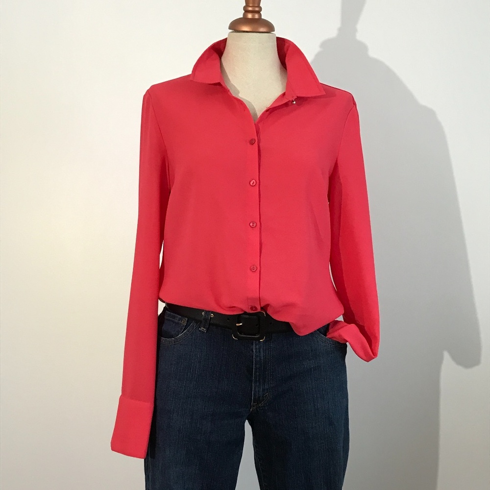 San Francisco - Pink Long Sleeve Sheer Blouse